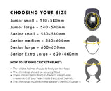 Masuri T line plus -Steel cricket helmet