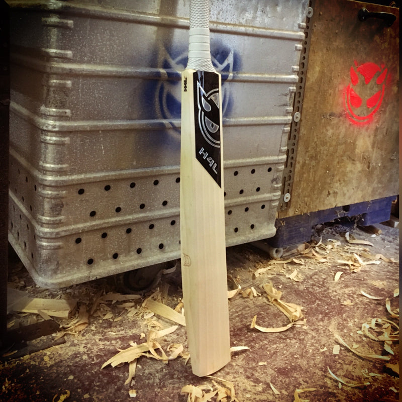 H4L Training Cricket Bat