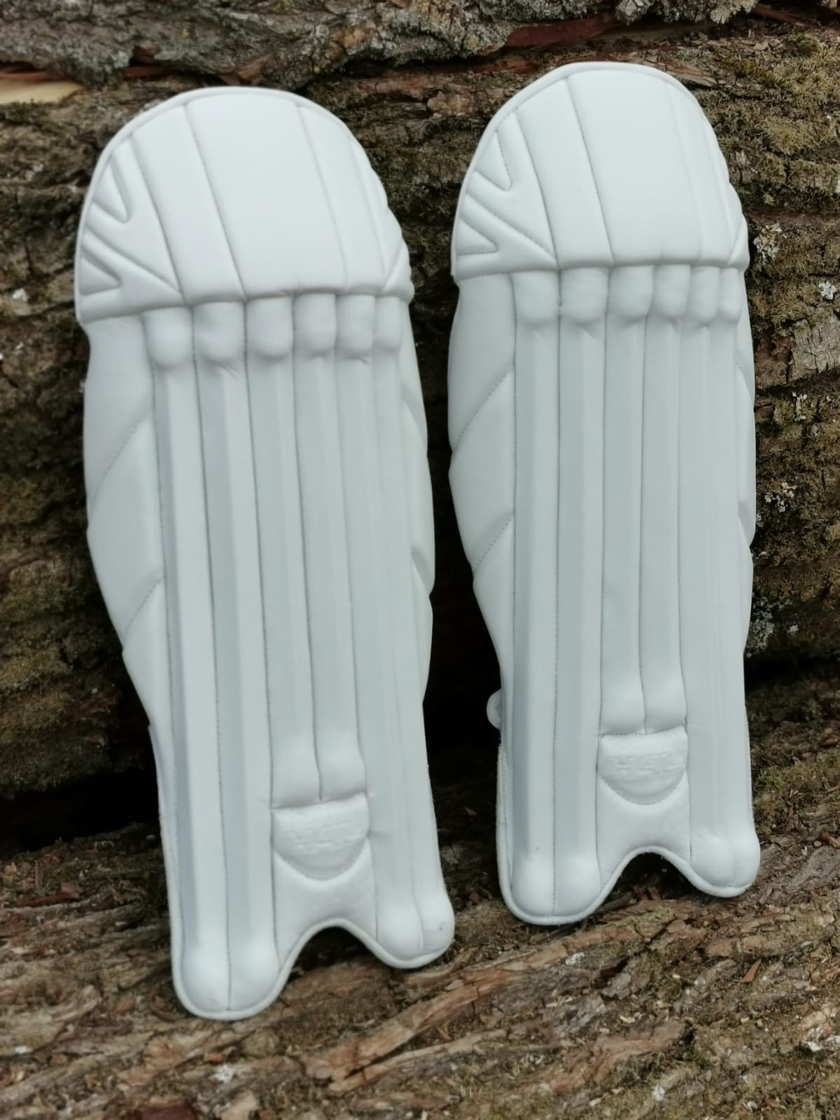 Elite Pro Tech Wicket Keeping Pads