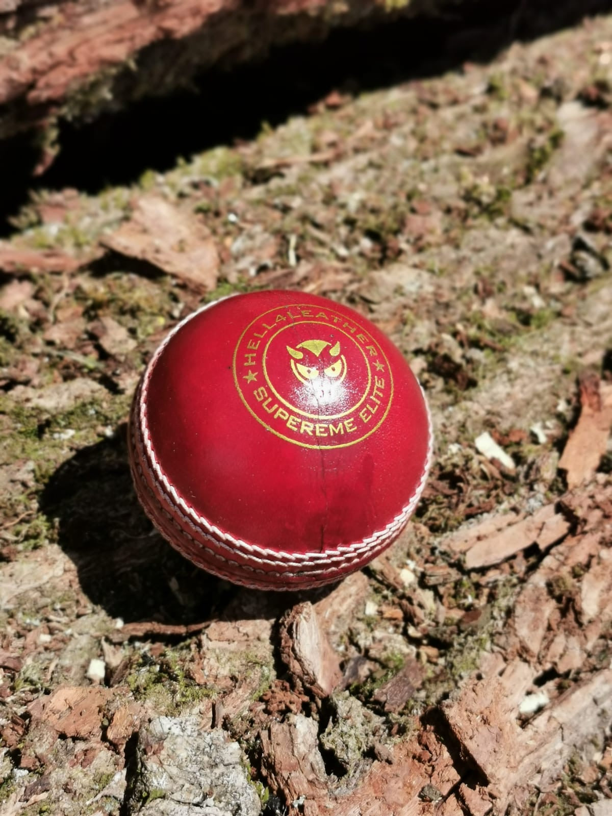 Junior Red Supreme Elite Cricket Ball